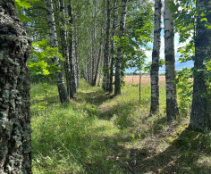 Участок, 6 соток
