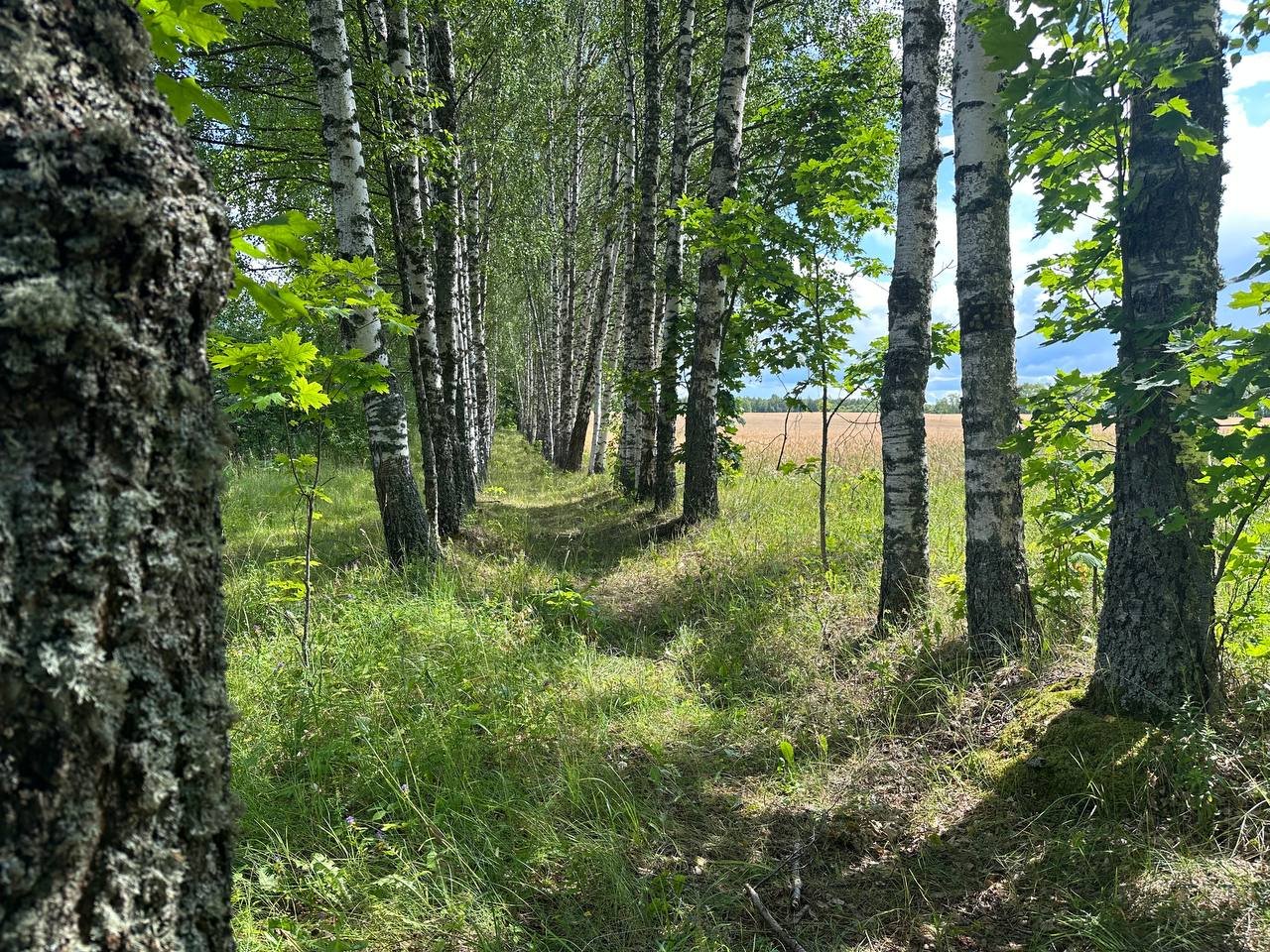 Участок, 6 соток