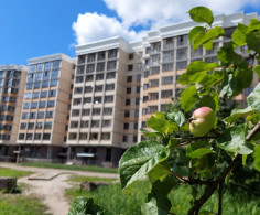 Квартира, 1 этаж
