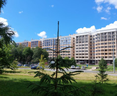 Квартира, 1 этаж