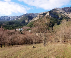 Участок, 10 соток