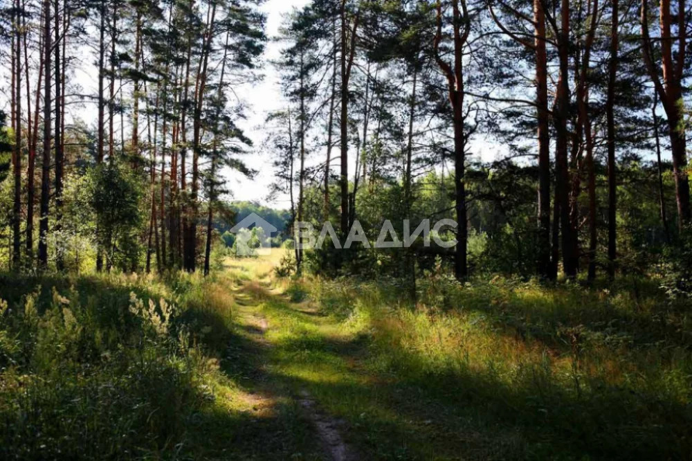 Участок, 446 соток