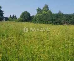 Участок, 40 соток