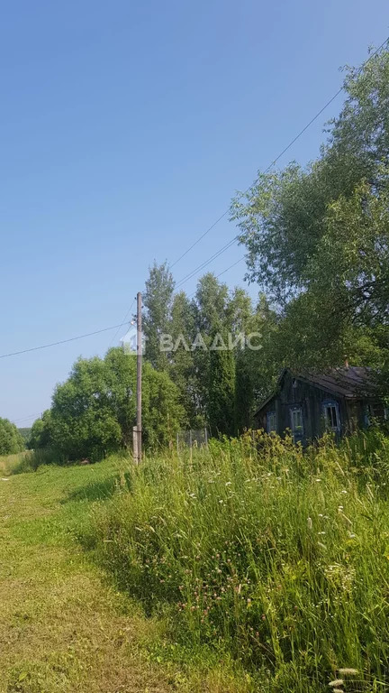 Участок, 40 соток