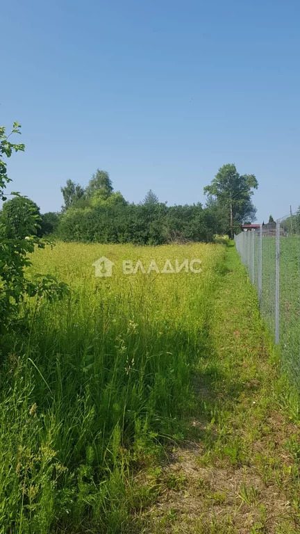 Участок, 40 соток