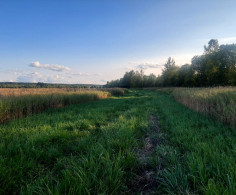 Участок, 200 соток