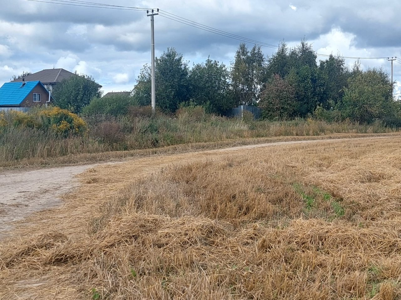 Участок, 250 соток