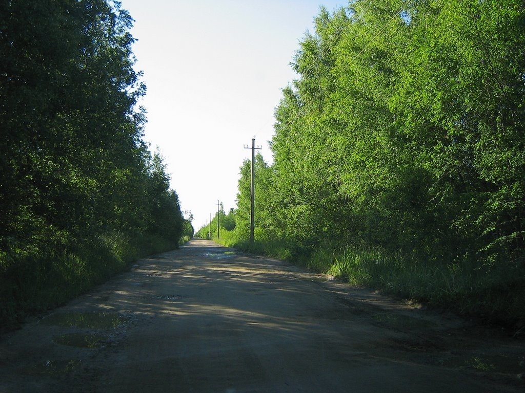Участок, 12 соток