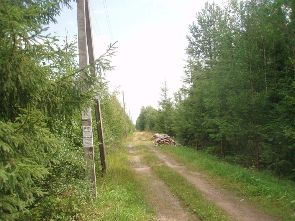 Участок, 12 соток