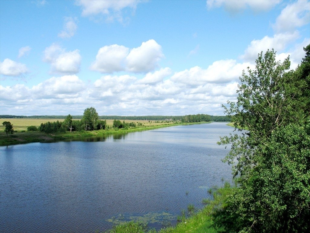 Участок, 12 соток