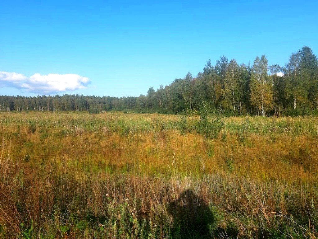 Участок, 3280 соток