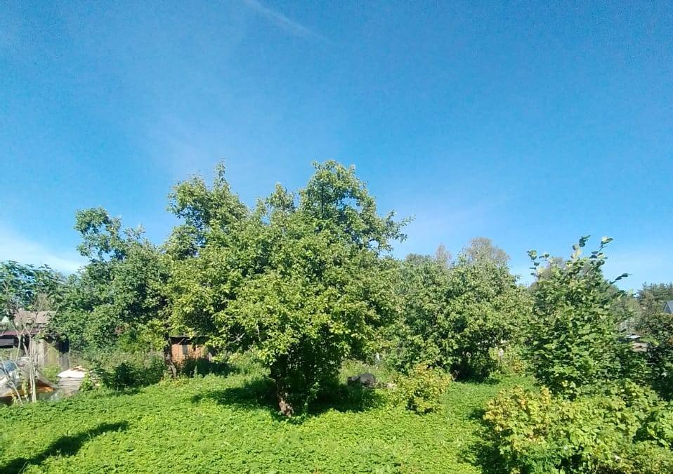 Участок, 12 соток