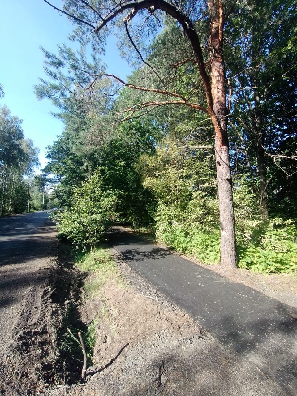 Участок, 12 соток