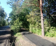 Участок, 12 соток
