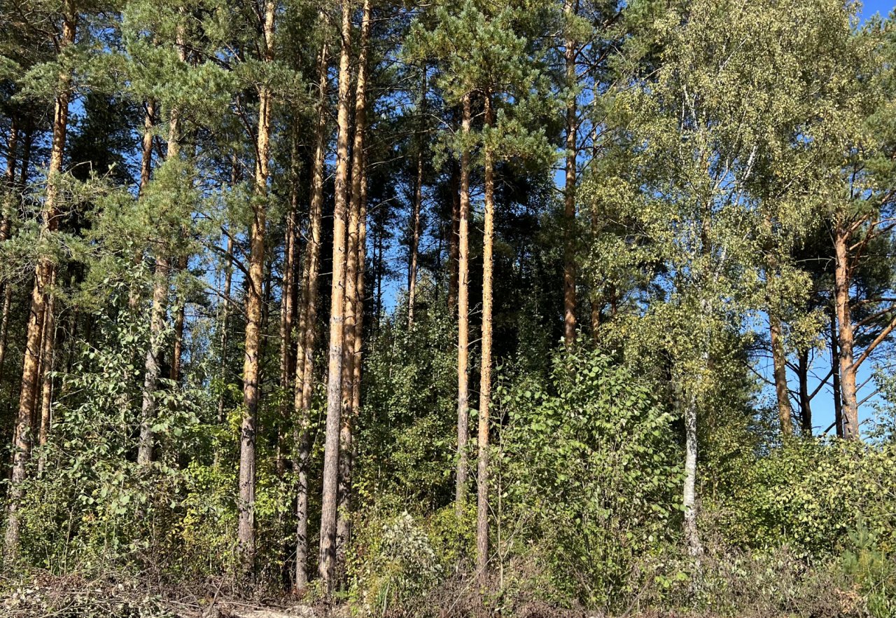 Участок, 18 соток