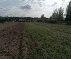 Участок, 19 соток