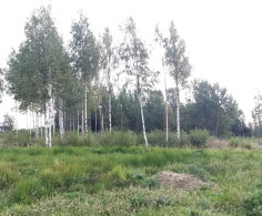 Участок, 8 соток