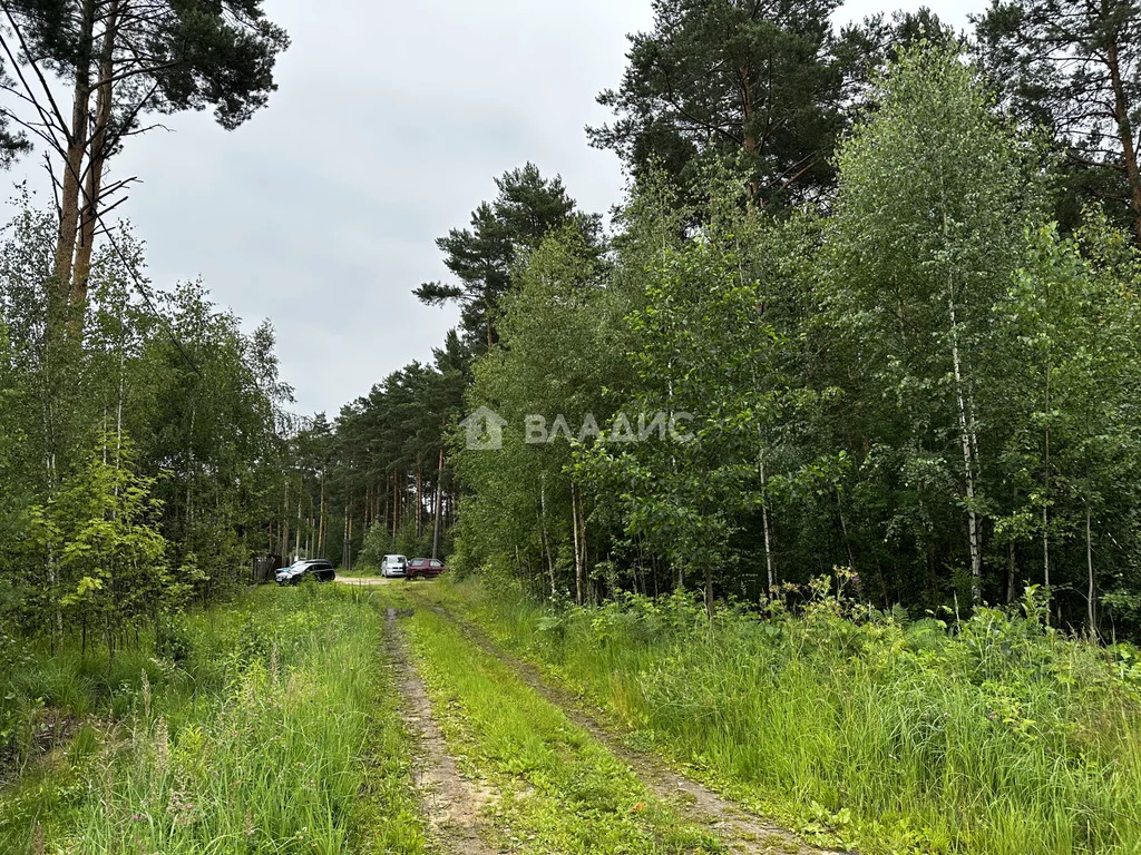 Участок, 12 соток