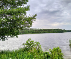 Участок, 12 соток