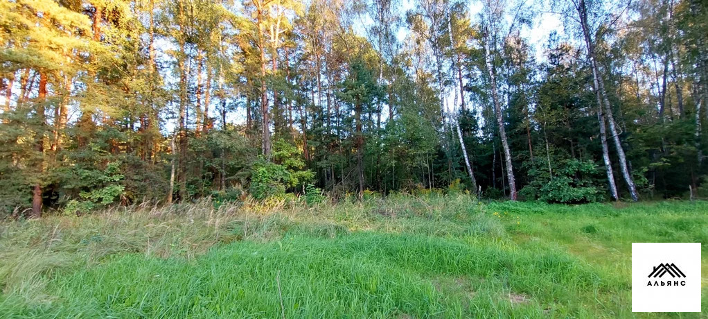 Участок, 12 соток