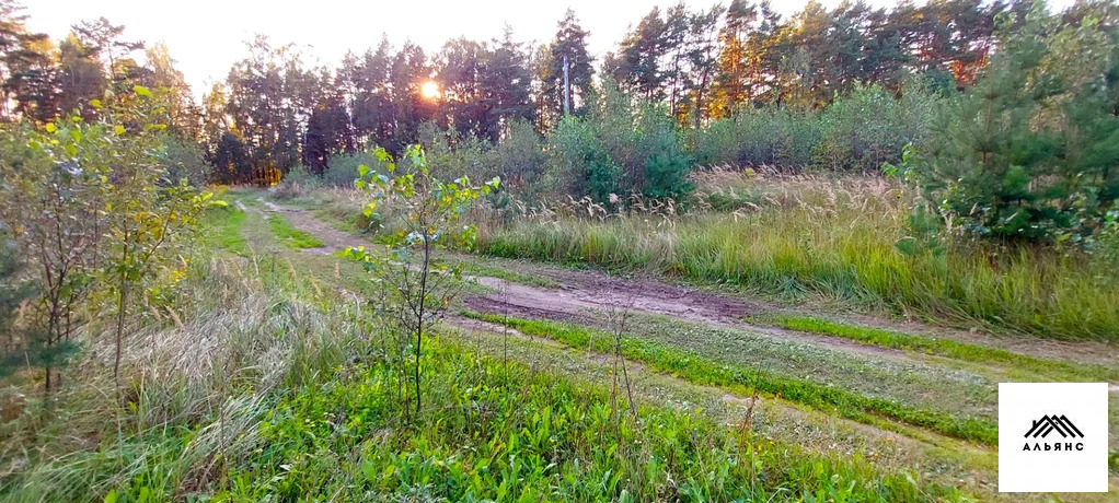 Участок, 12 соток