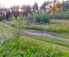 Участок, 12 соток
