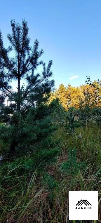 Участок, 12 соток
