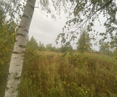 Участок, 12 соток