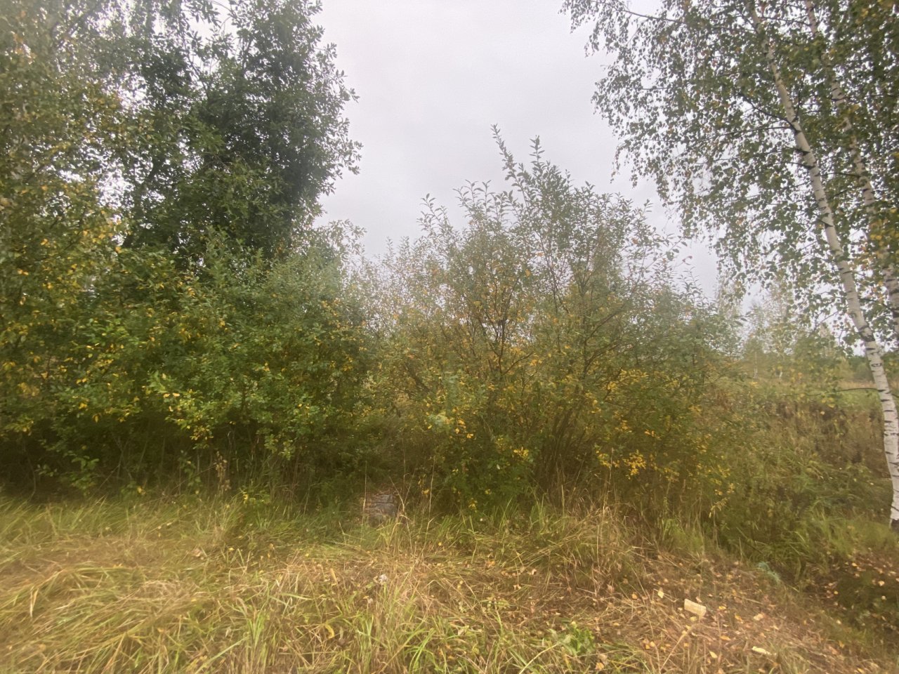 Участок, 12 соток