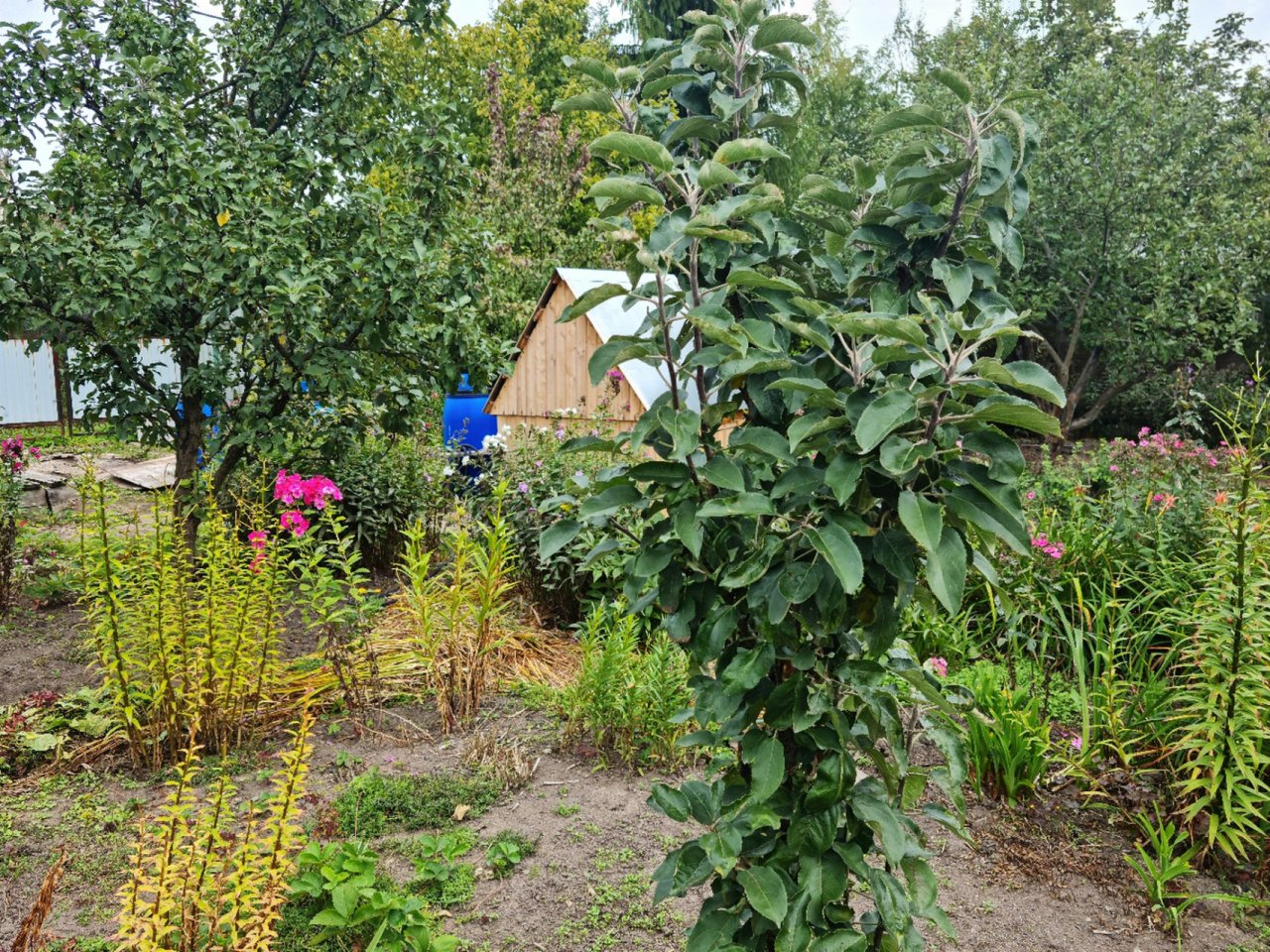Участок, 2 этажа, 6 соток