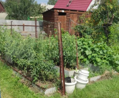 Дом, 1 этаж