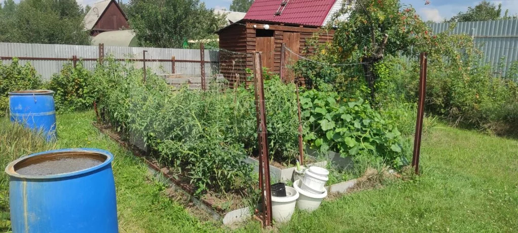 Дом, 1 этаж