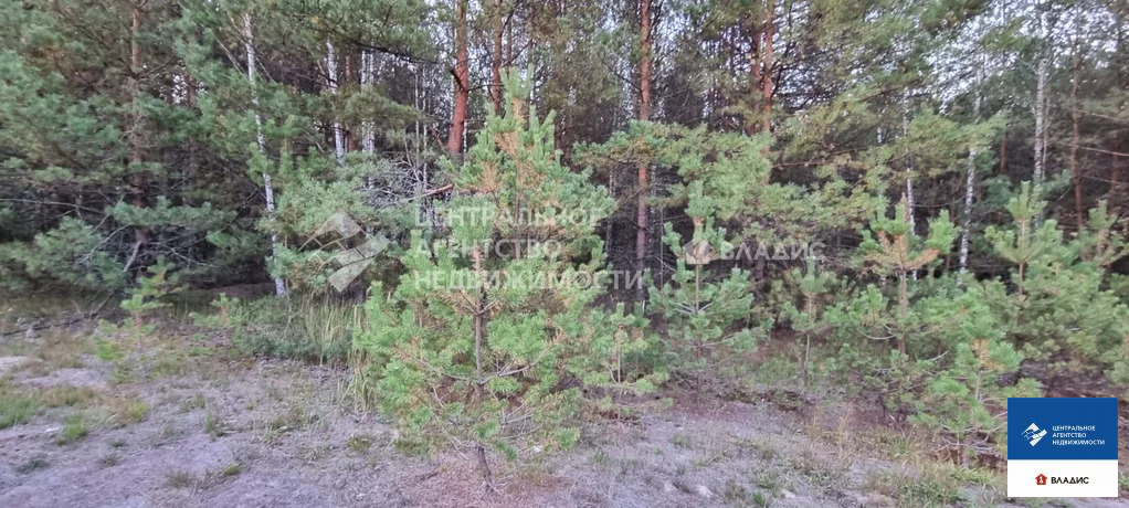 Дом, 1 этаж