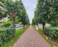 Квартира, 1 этаж