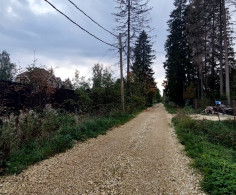 Участок, 25 соток