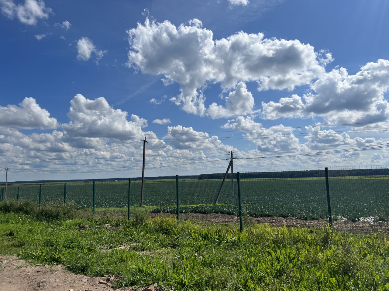 Участок, 11 соток