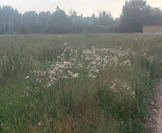 Участок, 20 соток