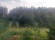 Участок, 20 соток