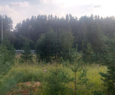Участок, 20 соток