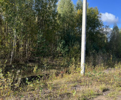 Участок, 10 соток
