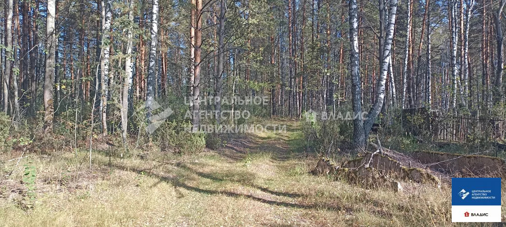 Дом, 1 этаж