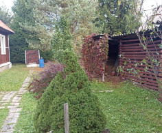 Дом, 1 этаж