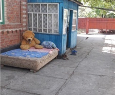 Дом, 1 этаж