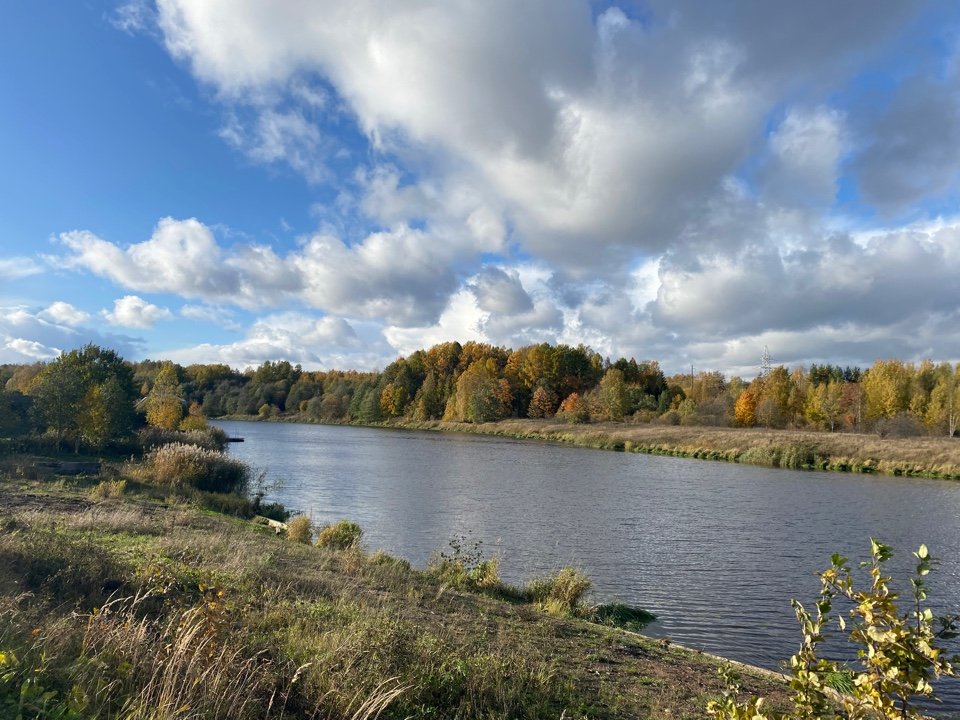 Участок, 12 соток