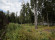 Участок, 16 соток
