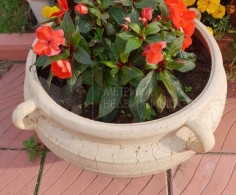 Дом, 2 этажа
