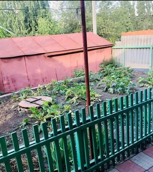 Дом, 1 этаж