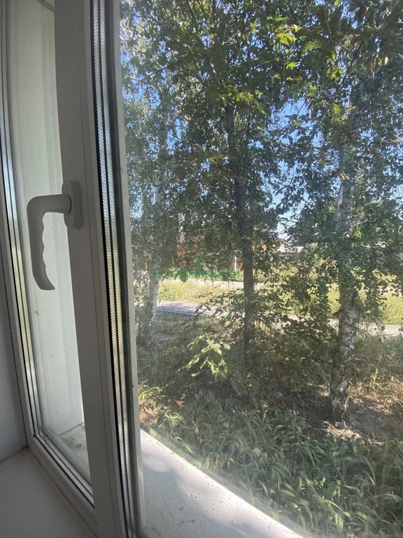 Дом, 1 этаж