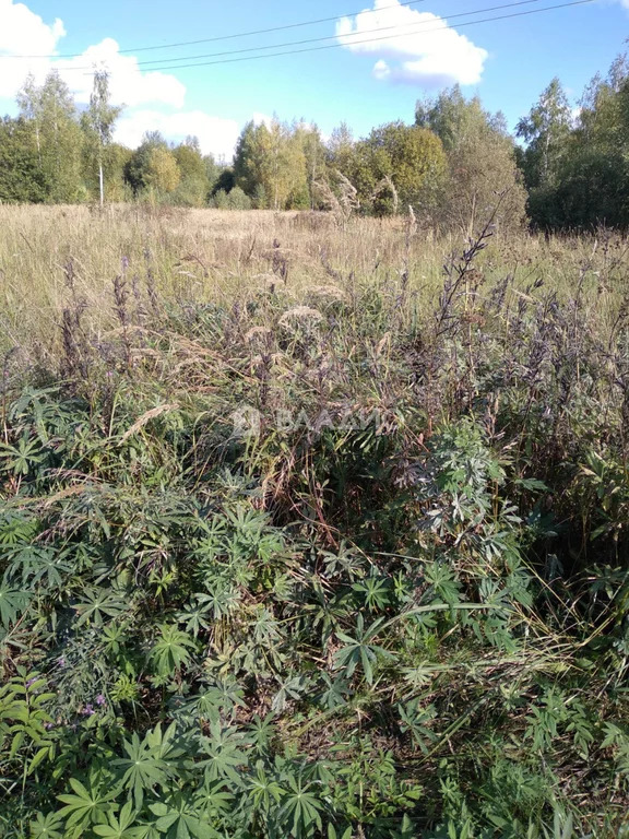 Участок, 7 соток