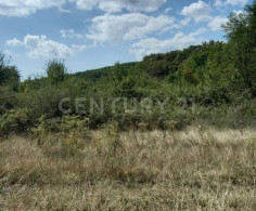 Участок, 8 соток